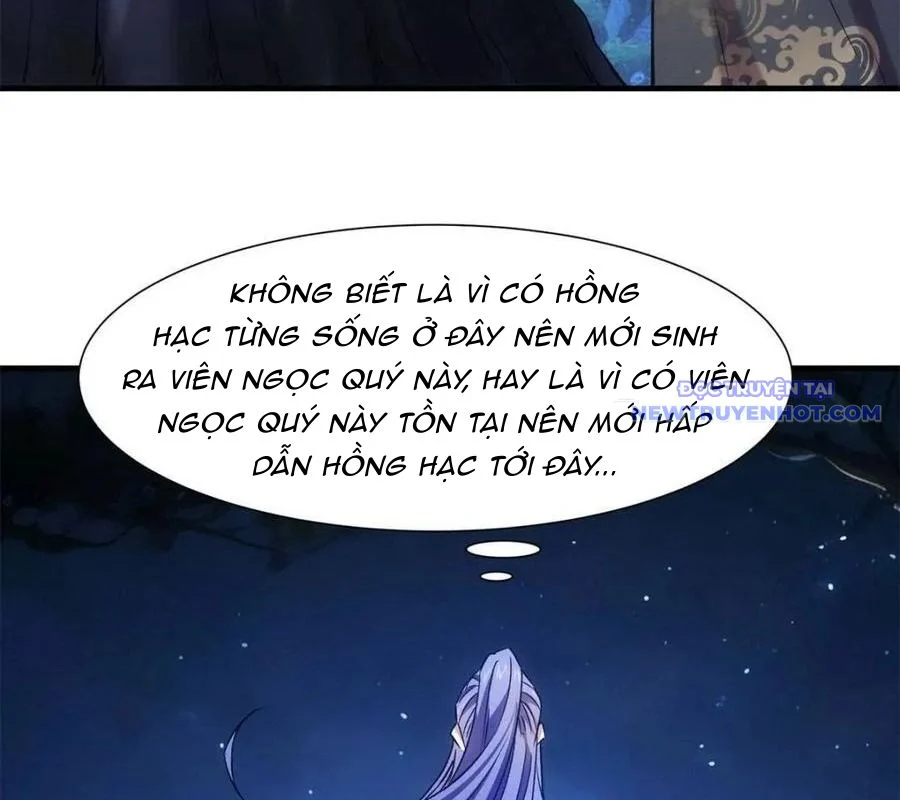 ta chính là không theo sáo lộ ra bài Chapter 311 - Next Chapter 312