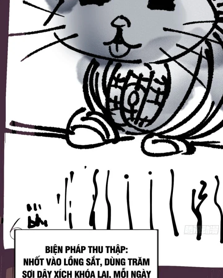 Ta Có Một Sơn Trại Chapter 1171 - Next Chapter 1172