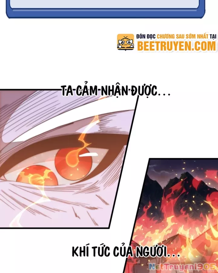Ta Có Một Sơn Trại Chapter 1210 - Trang 2