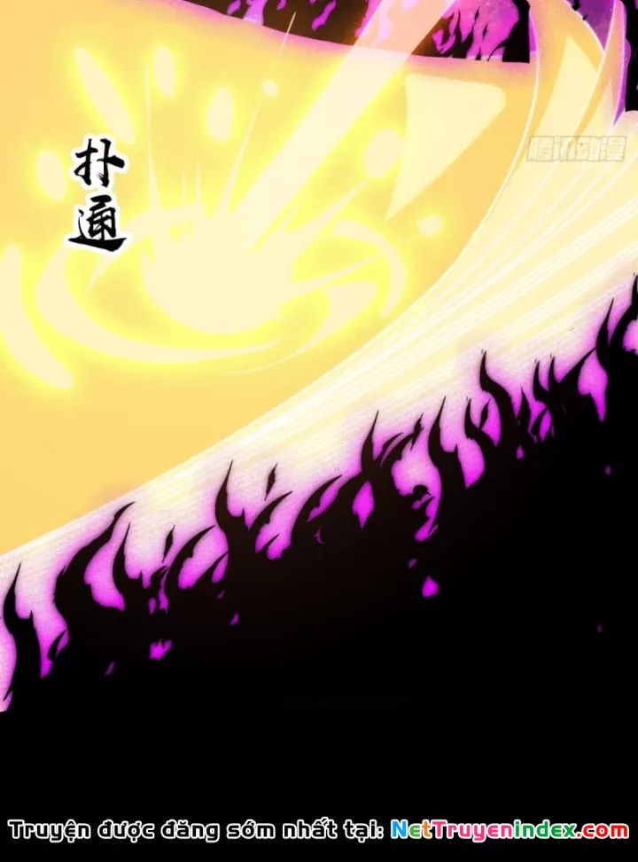 Ta Có Một Sơn Trại Chapter 1242 - Trang 2