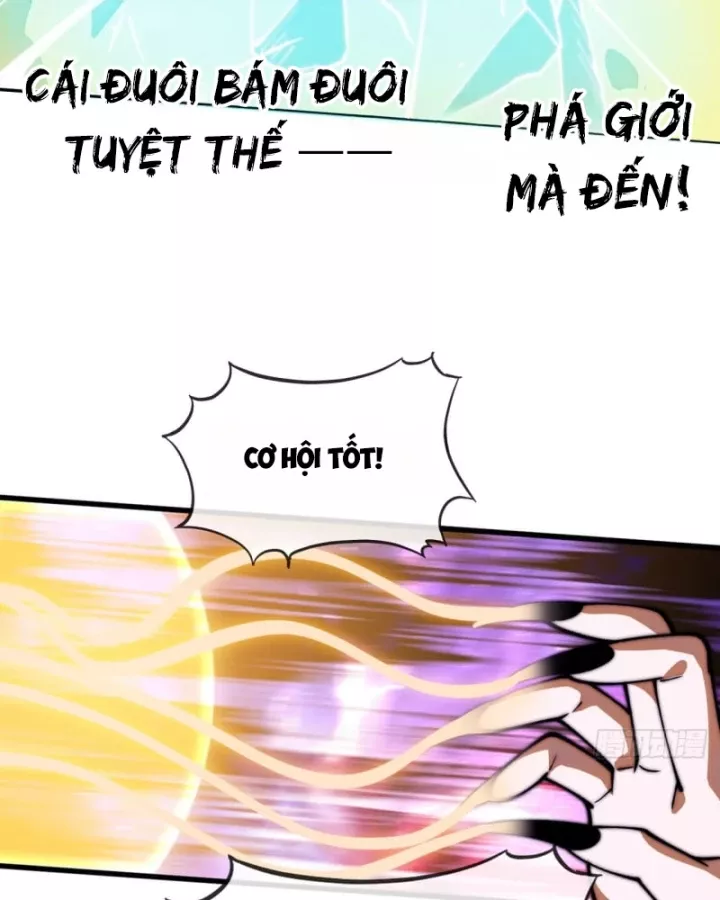 Ta Có Một Sơn Trại Chapter 1242 - Trang 2