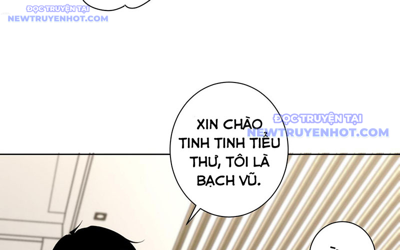 Ta Có Thể Thấy Tỉ Lệ Thành Công Chapter 211 - Trang 2