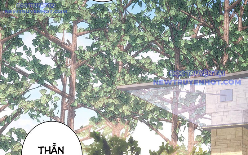 Ta Có Thể Thấy Tỉ Lệ Thành Công Chapter 211 - Trang 2