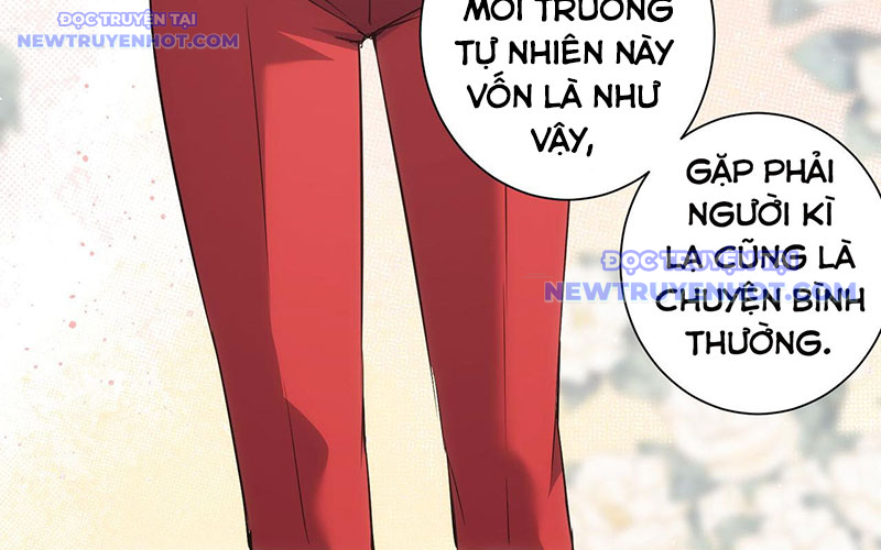 Ta Có Thể Thấy Tỉ Lệ Thành Công Chapter 211 - Trang 2