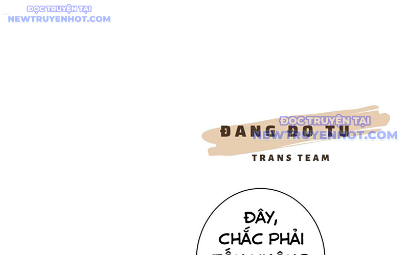 Ta Có Thể Thấy Tỉ Lệ Thành Công Chapter 213 - Trang 2