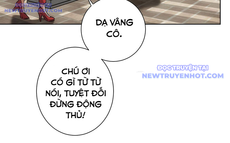 Ta Có Thể Thấy Tỉ Lệ Thành Công Chapter 213 - Trang 2