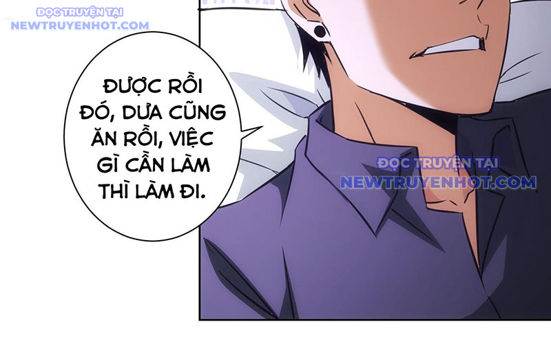 Ta Có Thể Thấy Tỉ Lệ Thành Công Chapter 215 - Trang 2