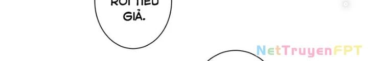 Ta Có Thể Thấy Tỉ Lệ Thành Công Chapter 216 - Trang 2
