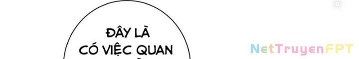 Ta Có Thể Thấy Tỉ Lệ Thành Công Chapter 217 - Trang 2