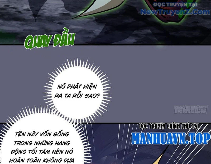 Ta dựa vào hậu cung chinh phục thế giới Chapter 36 - Trang 2