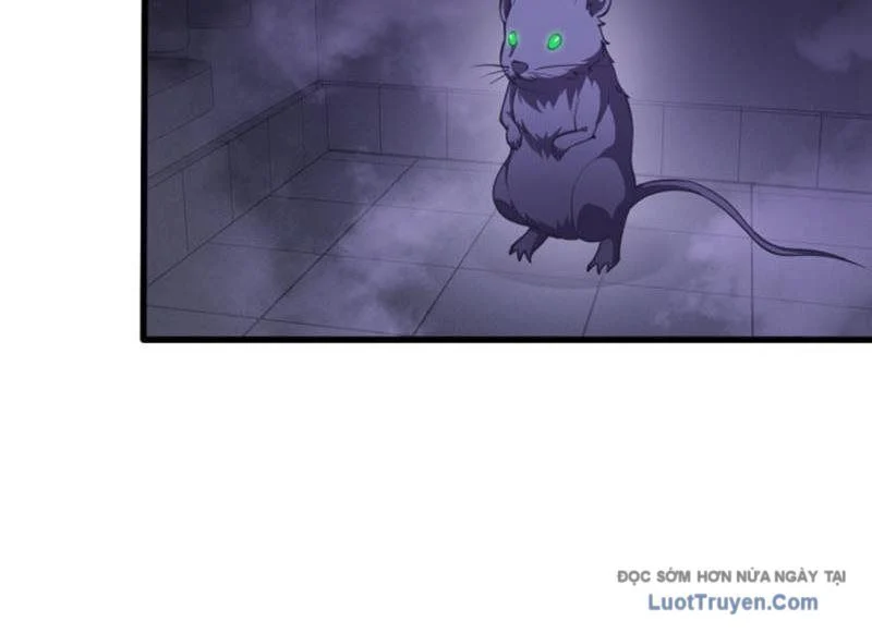 Ta Học Trảm Thần Trong Bệnh Viện Tâm Thần Chapter 294 - Trang 2