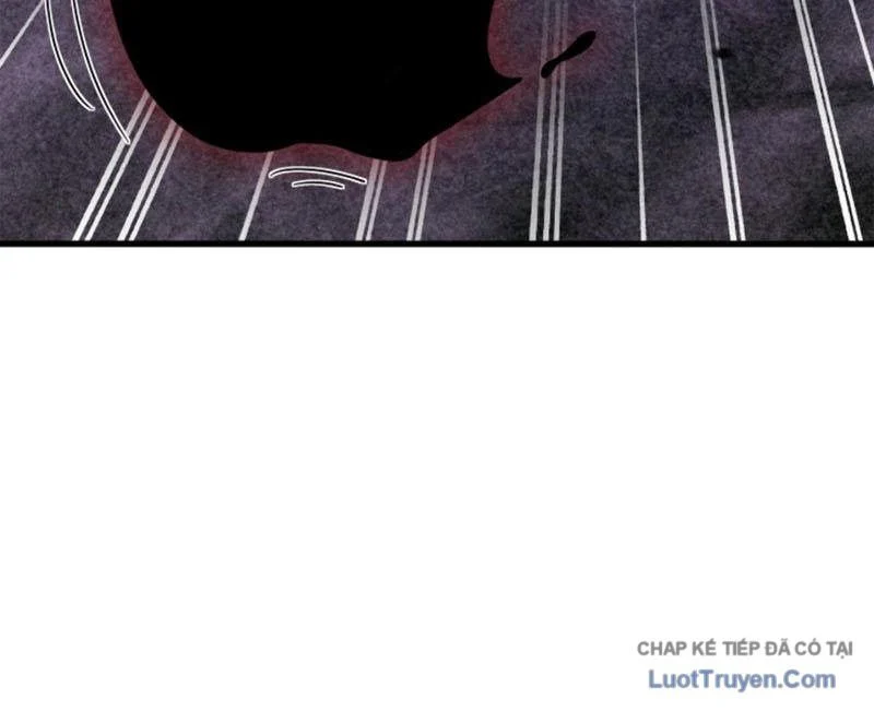 Ta Học Trảm Thần Trong Bệnh Viện Tâm Thần Chapter 296 - Trang 2