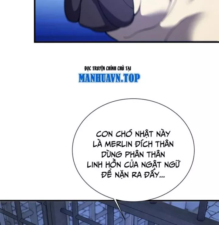 Ta Học Trảm Thần Trong Bệnh Viện Tâm Thần Chapter 311 - Trang 2