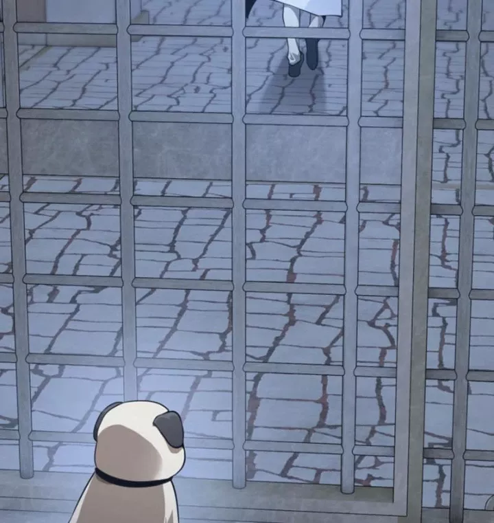 Ta Học Trảm Thần Trong Bệnh Viện Tâm Thần Chapter 312 - Trang 2