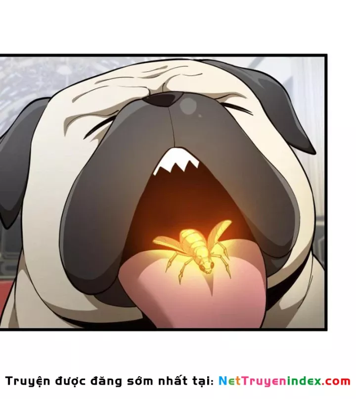 Ta Học Trảm Thần Trong Bệnh Viện Tâm Thần Chapter 312 - Trang 2