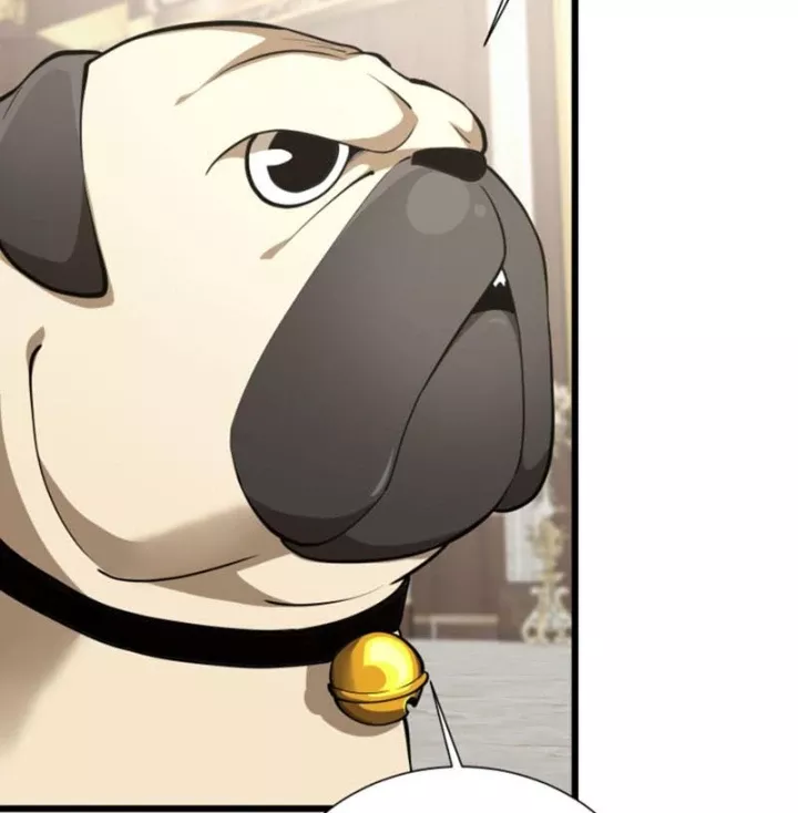 Ta Học Trảm Thần Trong Bệnh Viện Tâm Thần Chapter 312 - Trang 2