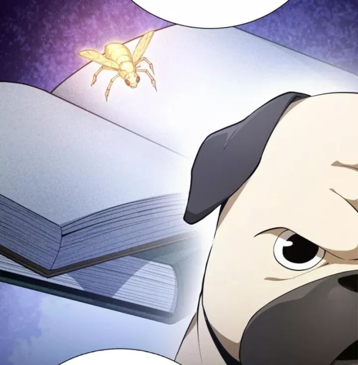 Ta Học Trảm Thần Trong Bệnh Viện Tâm Thần Chapter 312 - Trang 2