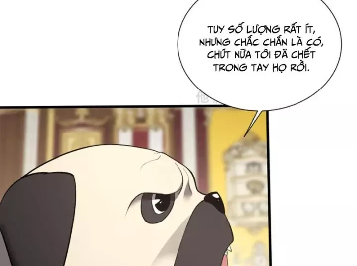 Ta Học Trảm Thần Trong Bệnh Viện Tâm Thần Chapter 313 12