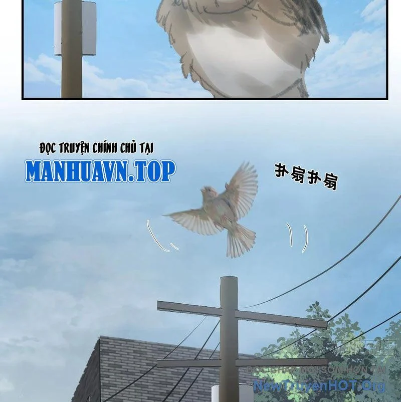 Ta Không Muốn Trùng Sinh Đâu Chapter 432 - Trang 2