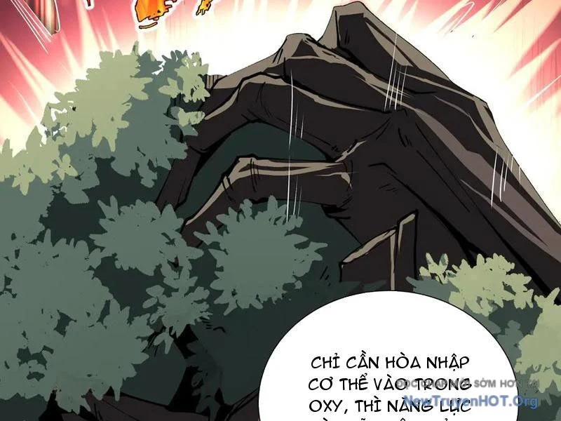 Ta Ký Kết Khế Ước Với Chính Mình Chapter 97 - Trang 2