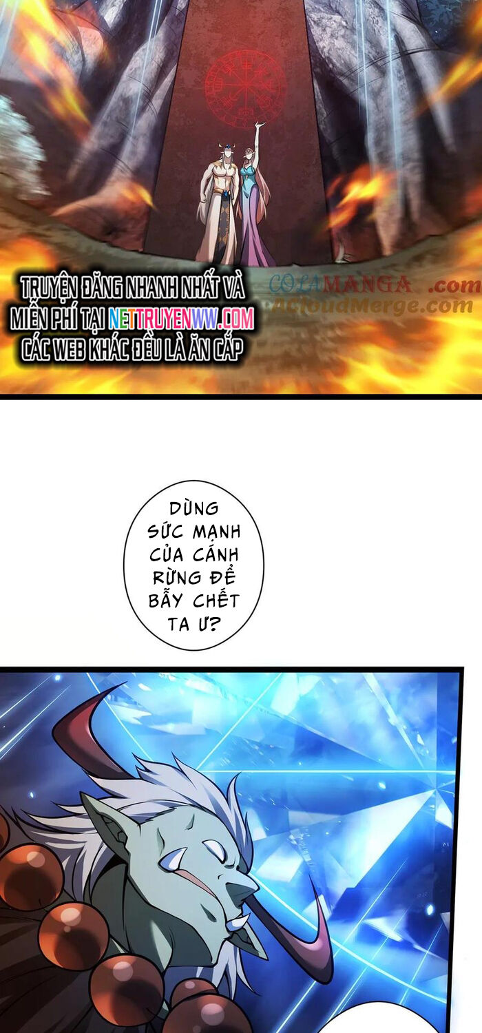 Ta Là Chúa Tể Tùng Lâm Chapter 28 - Trang 2