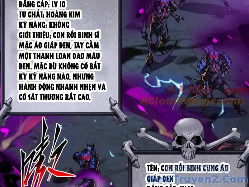 Ta Là Tai Họa Cấp Mục Sư Chapter 45 - Trang 2