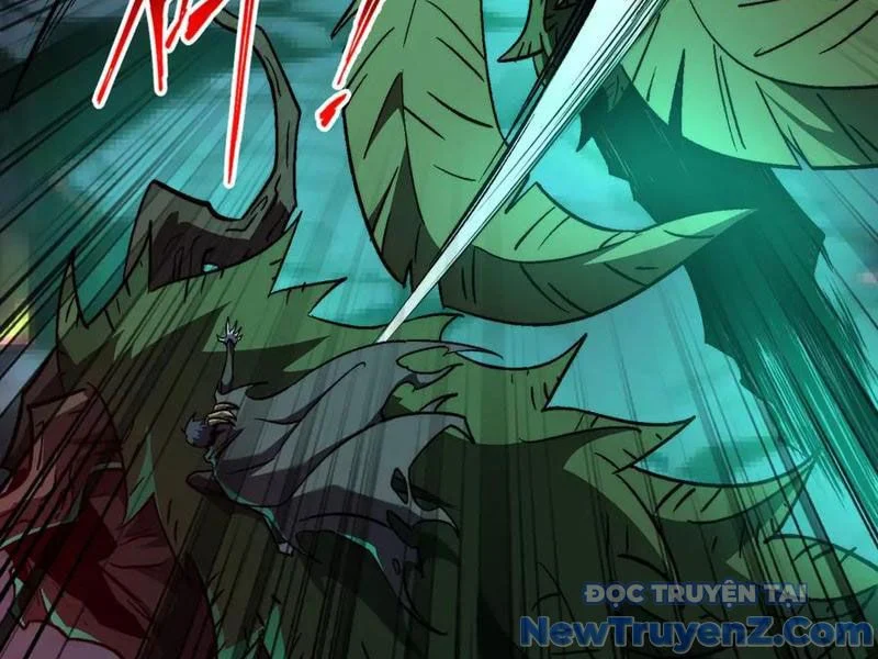 Ta Là Tai Họa Cấp Mục Sư Chapter 45 - Trang 2
