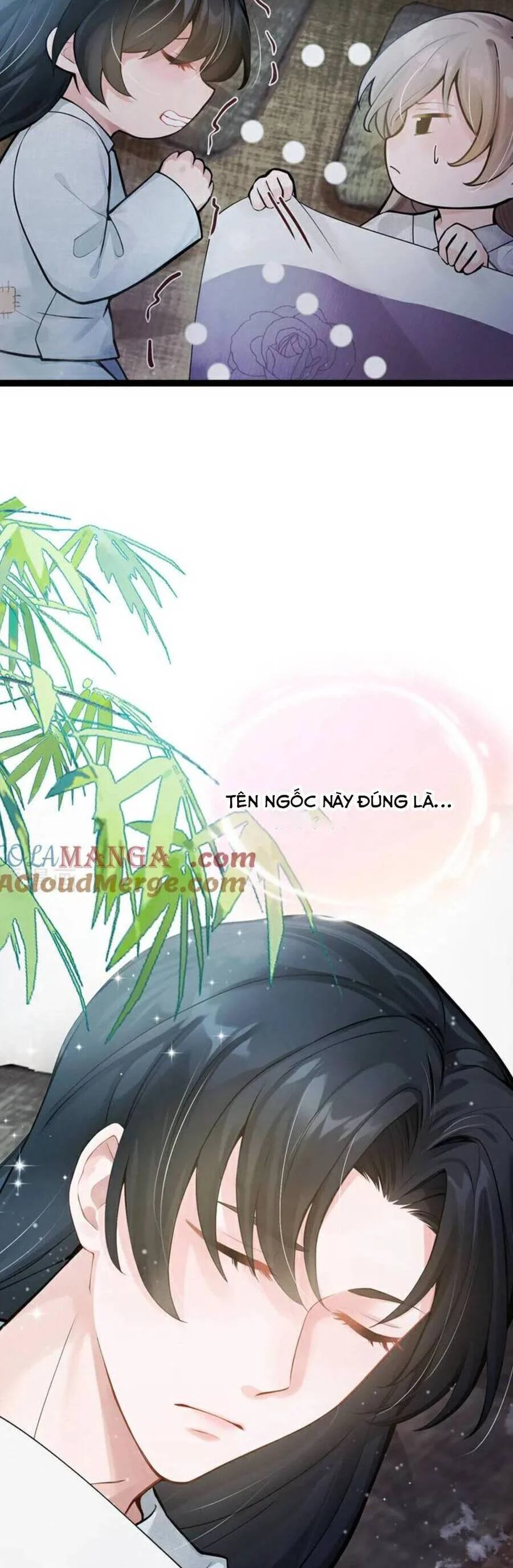 Ta Mang Siêu Thị Xuyên Không Về Cổ Đại Nuôi Tể Tướng Chapter 30 - Trang 2