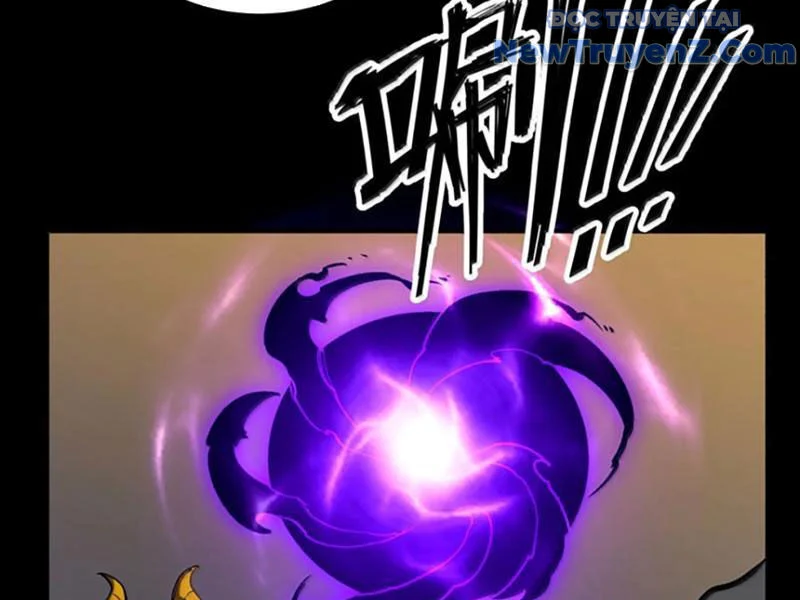 Ta Nhặt Rác Thượng Vương Giả Chapter 67 - Trang 2