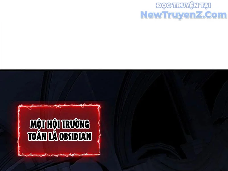 Ta Nhặt Rác Thượng Vương Giả Chapter 67 - Trang 2