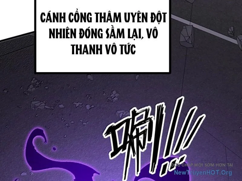 Ta Nhặt Rác Thượng Vương Giả Chapter 77 - Trang 3