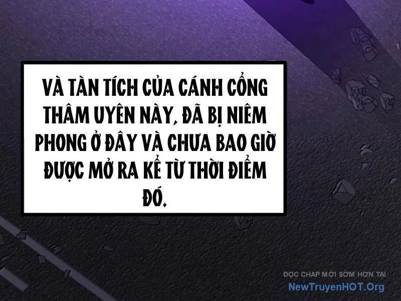 Ta Nhặt Rác Thượng Vương Giả Chapter 77 - Trang 3
