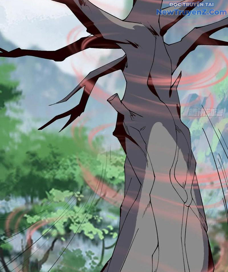Ta Ở Nhà 100 Năm Khi Ra Ngoài Đã Vô Địch Chapter 326 - Trang 2