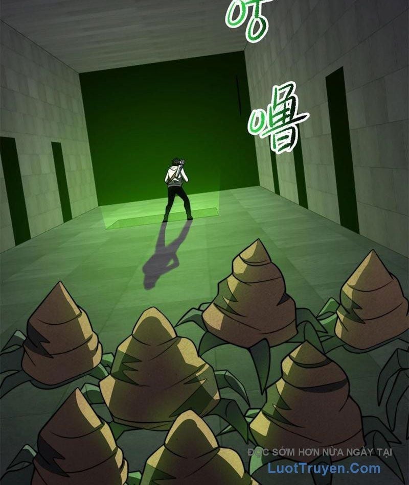 Ta Thăng Cấp Cho Người Khác Tại Tận Thế Chapter 57 - Trang 2