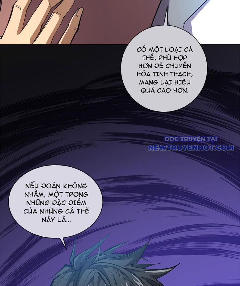 Ta Thành Vương Giả Từ Khắc Kim Chapter 13 - Trang 4
