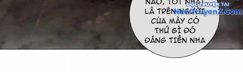Ta Thành Vương Giả Từ Khắc Kim Chapter 22 - Trang 4