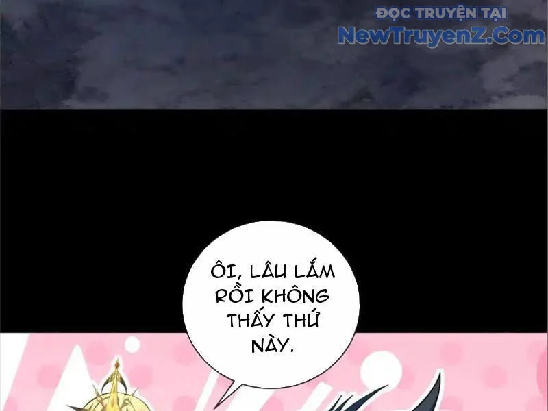 Ta Thành Vương Giả Từ Khắc Kim Chapter 29 - Trang 4