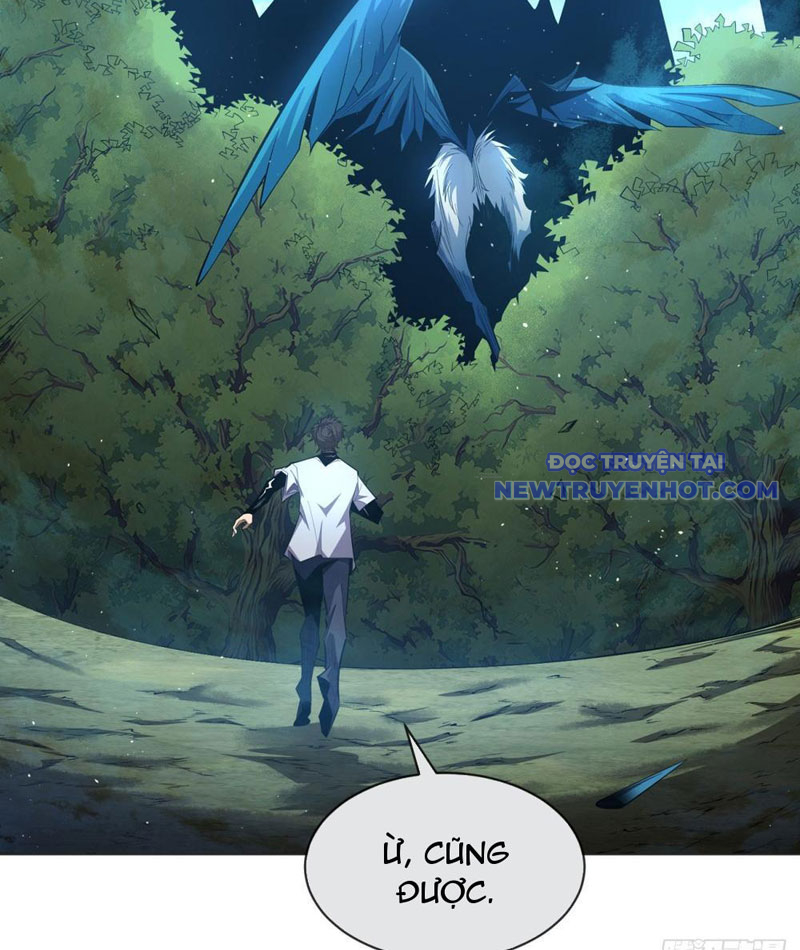 Ta Thành Vương Giả Từ Khắc Kim Chapter 4 - Trang 4