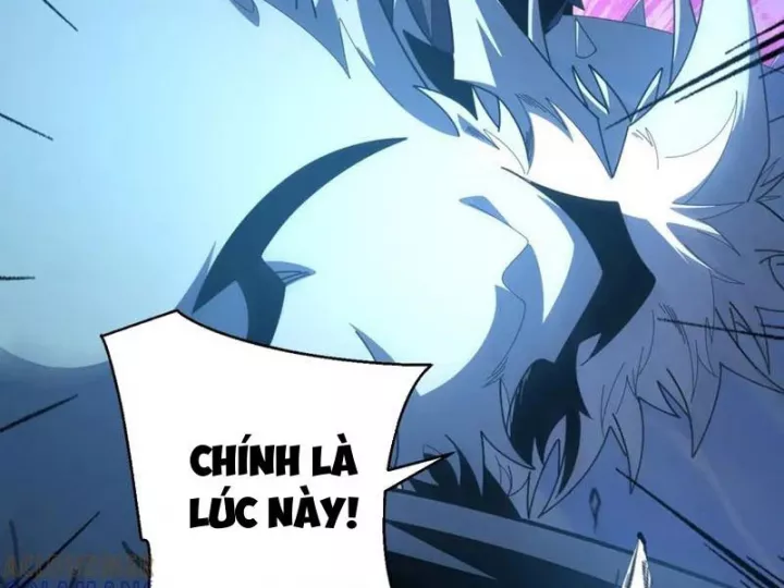 Ta Thành Vương Giả Từ Khắc Kim Chapter 41 - Trang 2