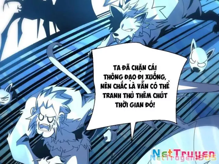 Ta Thành Vương Giả Từ Khắc Kim Chapter 41 - Trang 2