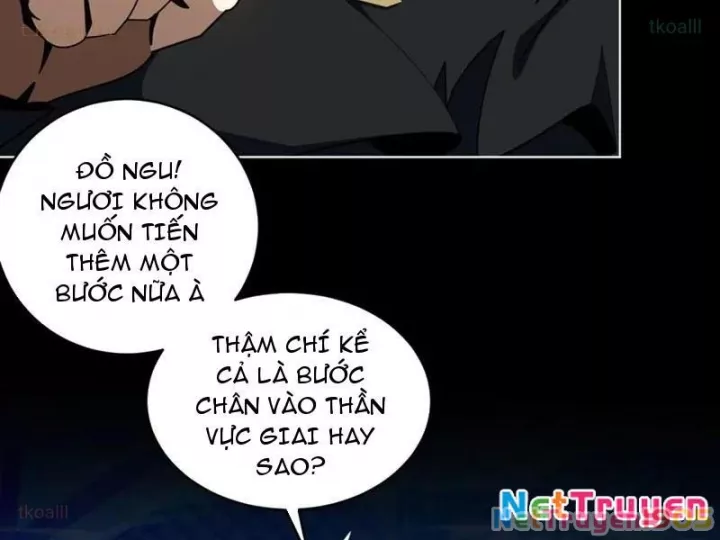 Ta Thành Vương Giả Từ Khắc Kim Chapter 41 - Trang 2