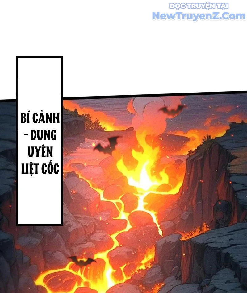 Ta Thật Không Muốn Học Cấm Chú Chapter 124 - Trang 2