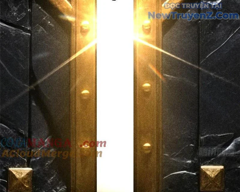 Ta Thật Không Muốn Học Cấm Chú Chapter 125 - Trang 2