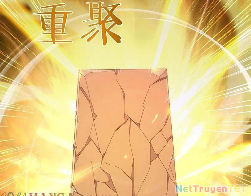 Ta Thật Sự Không Muốn Làm Thánh Tiên Chapter 100 - Trang 2