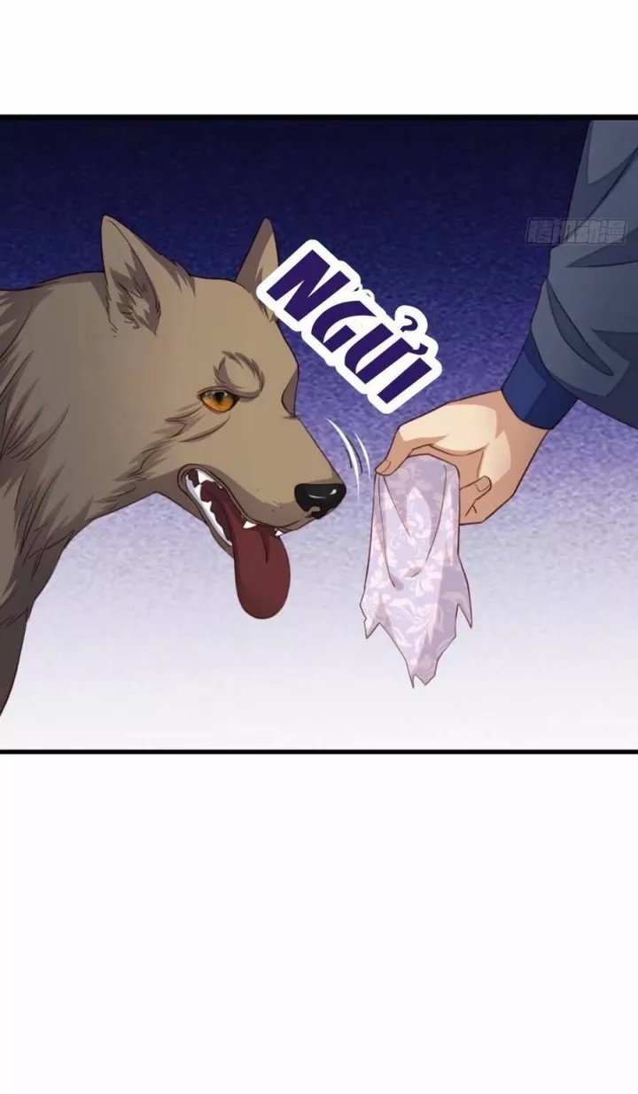 Ta Thuần Phục Bạo Quân Chapter 4 - Trang 2