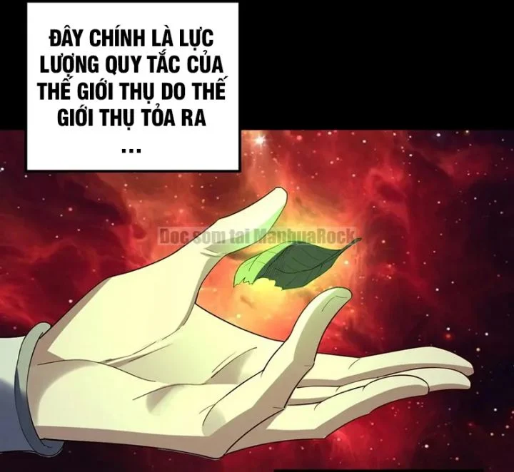 Ta Trời Sinh Đã Là Nhân Vật Phản Diện Chapter 323 - Trang 2