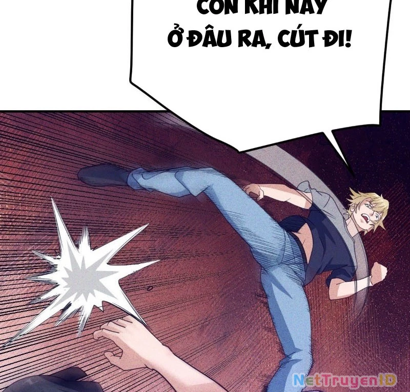 Ta Vô Địch Phản Sáo Lộ Chapter 49 - Trang 2