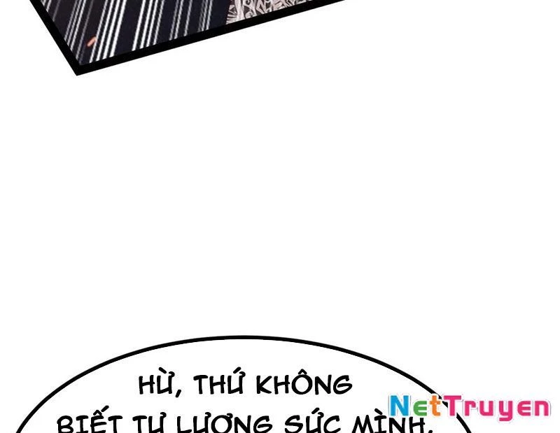 Ta Vô Địch Phản Sáo Lộ Chapter 51 - Trang 2