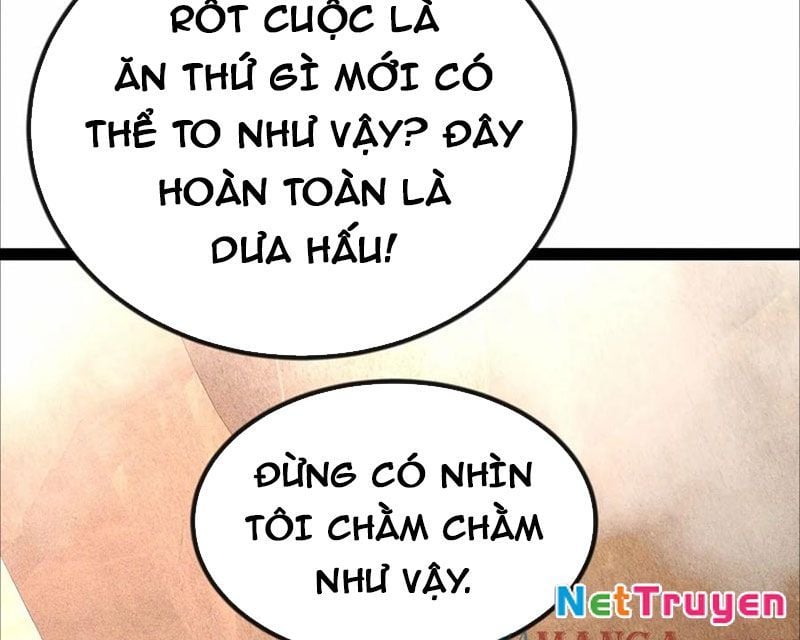 Ta Vô Địch Phản Sáo Lộ Chapter 53 - Trang 2