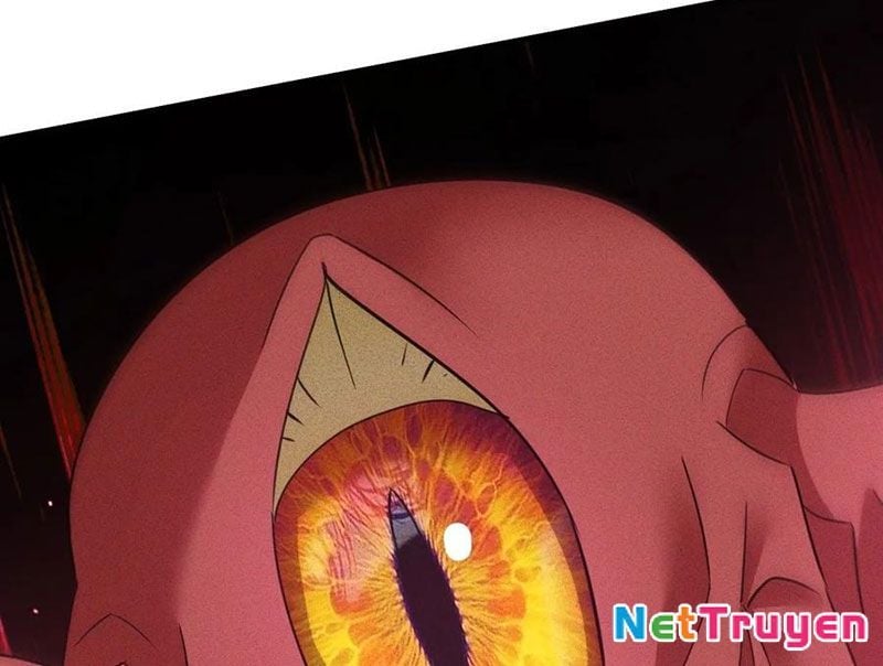 Ta Vô Địch Phản Sáo Lộ Chapter 54 - Trang 2